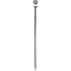 Гвозди ЗУБР 305016-40-100
